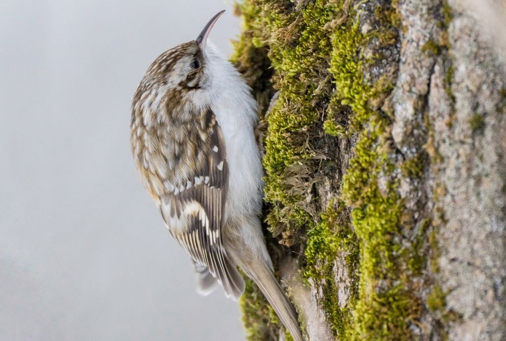 Photograph by Барашкова Екатерина