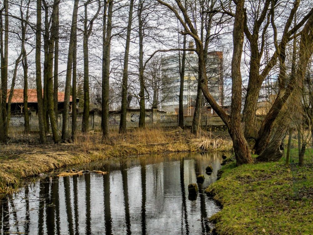 Фотография автора Igors Rostikovs