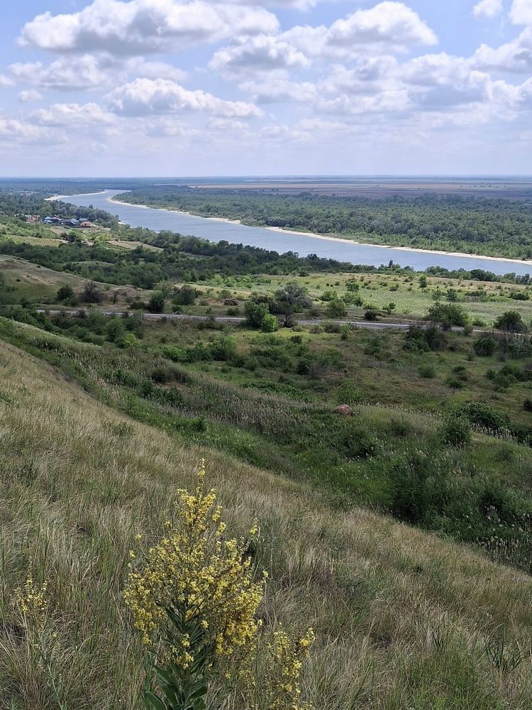 Фотография автора Наталья Гаврилова
