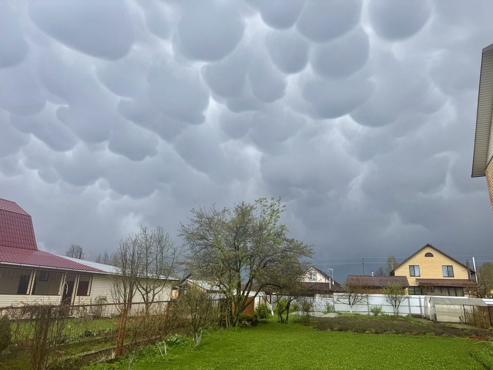 Photograph by Елена Карпухно