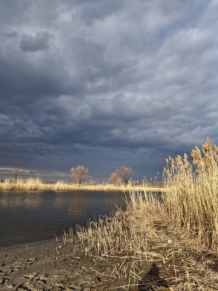 Фотография автора Наталья Гаврилова