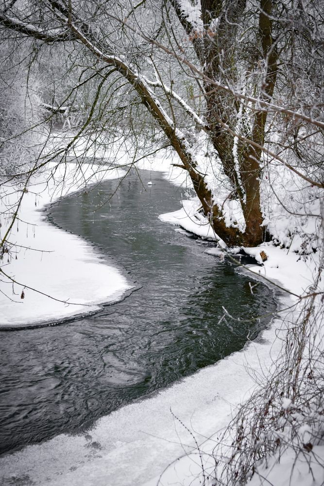 Photograph by Денчук Наталья