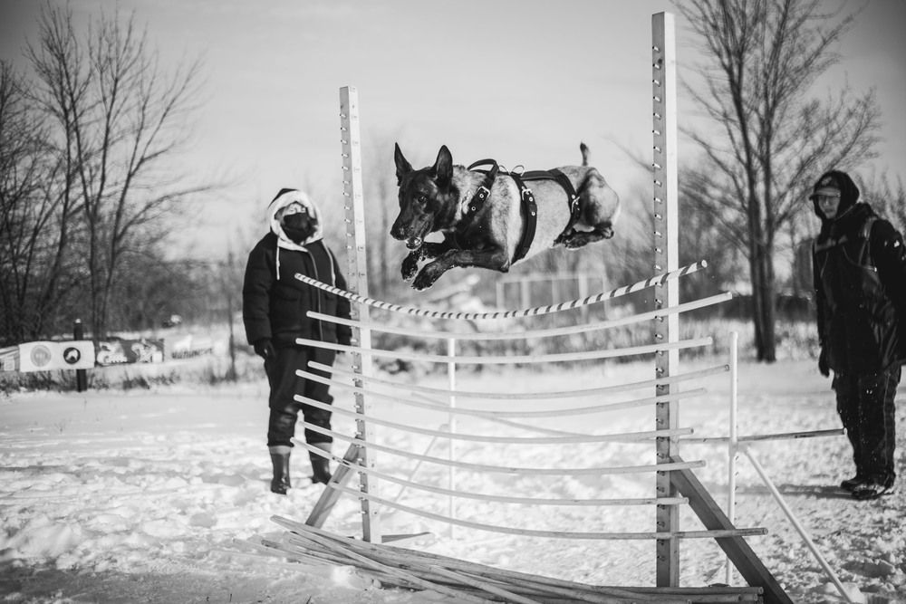 Photograph by Яна Понимаш