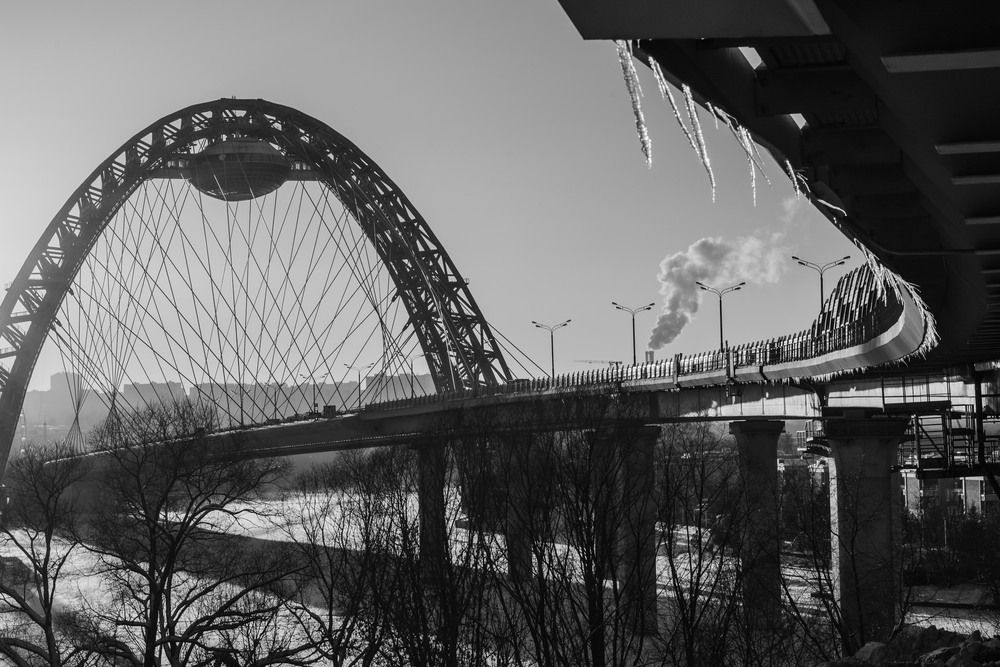 Фотография автора Татьяна