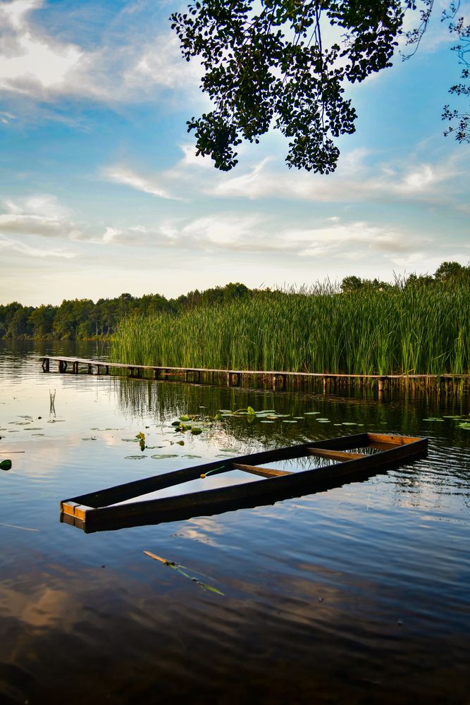 Photograph by Денчук Наталья