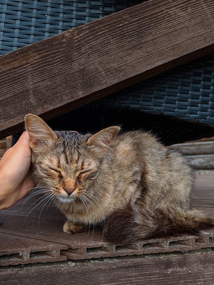 Photograph by Наталья Чехова