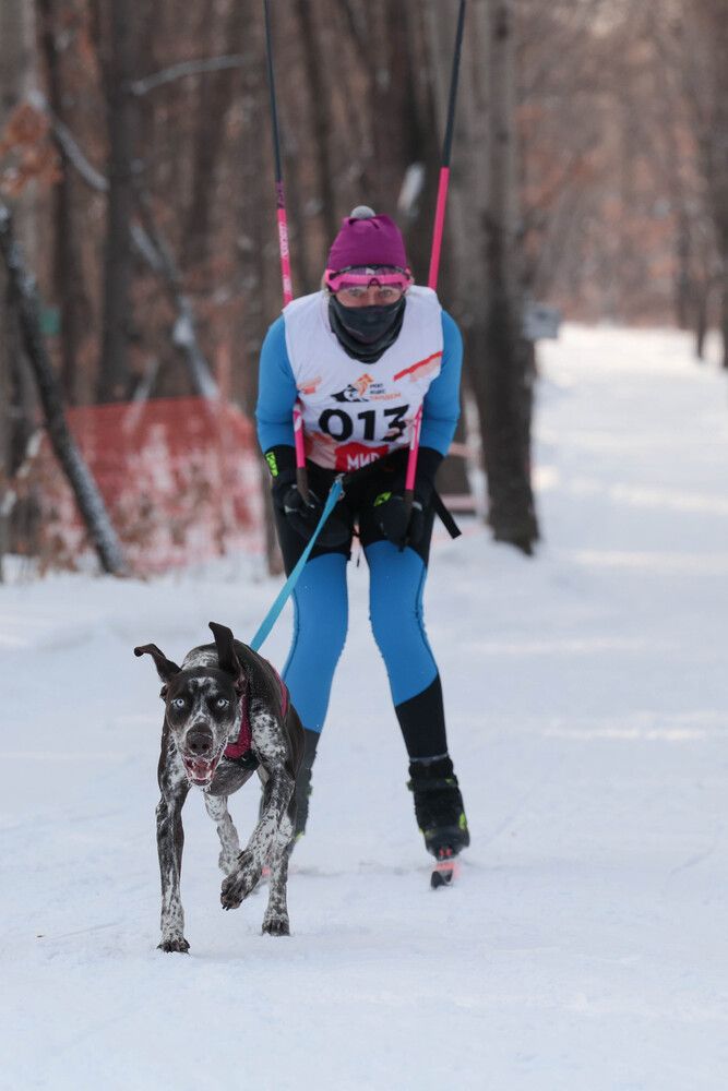 Photograph by Ольга Колобова