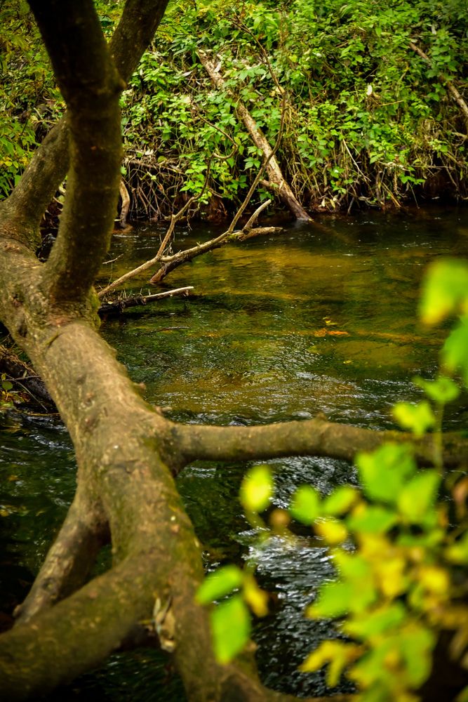 Photograph by Денчук Наталья