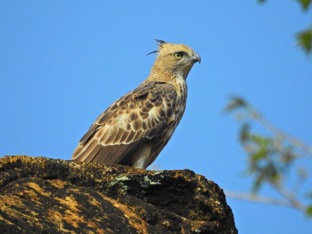 Photograph by Дмитрий Юдин