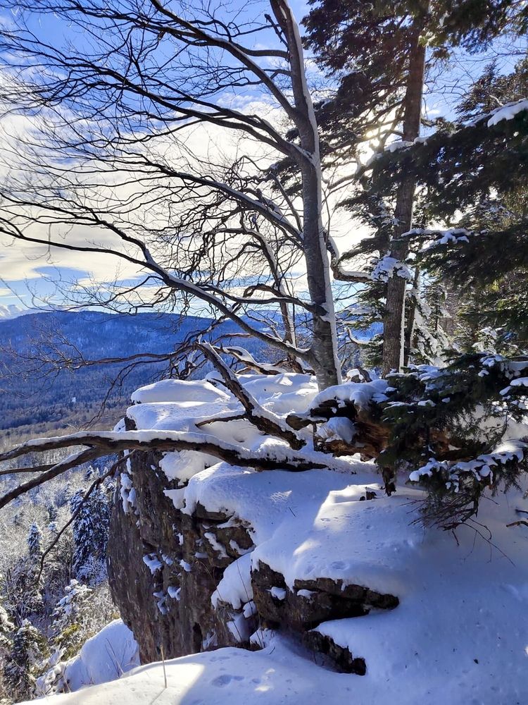 Photograph by Ирина Бабич