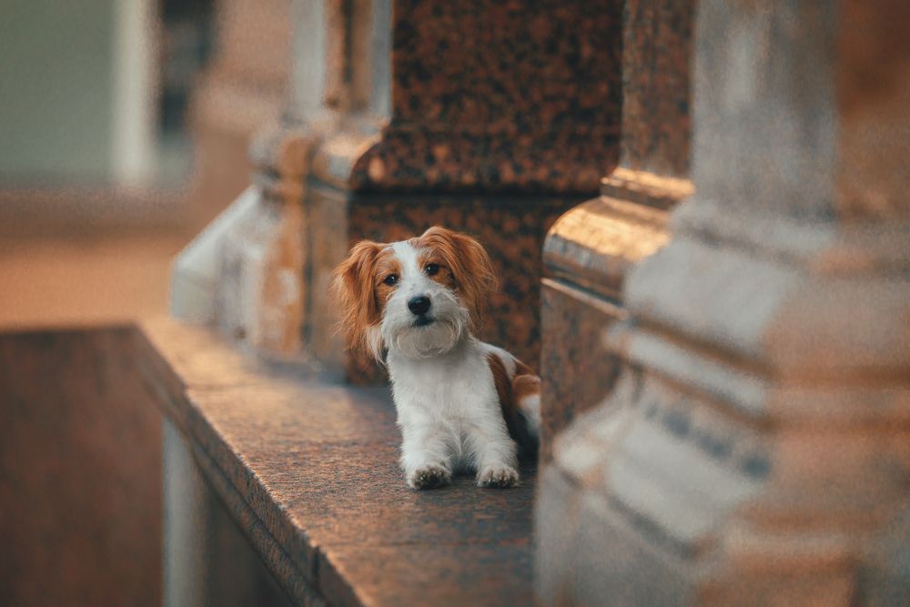 Photograph by Зубкова Юлия