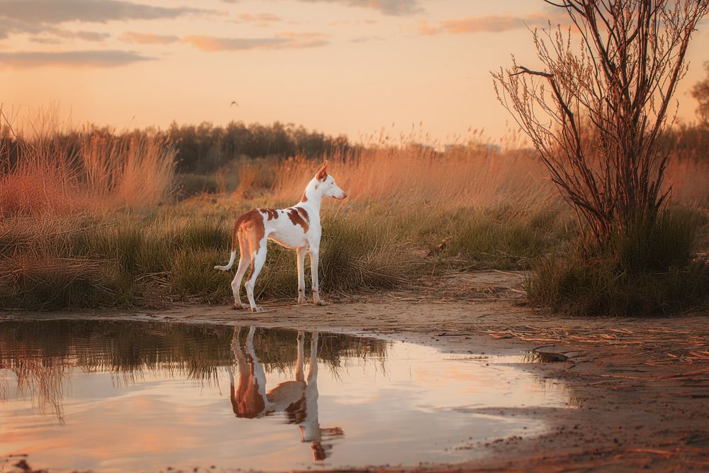 Photograph by Зубкова Юлия