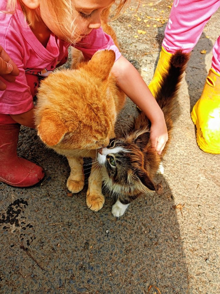 Photograph by Анна