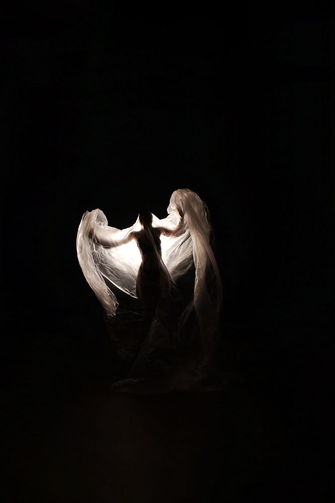 Photo #13239841