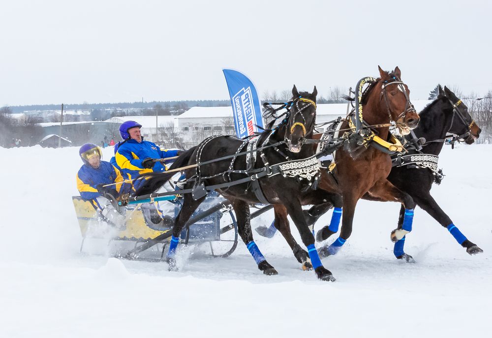 Фотография автора Олег Чернышев