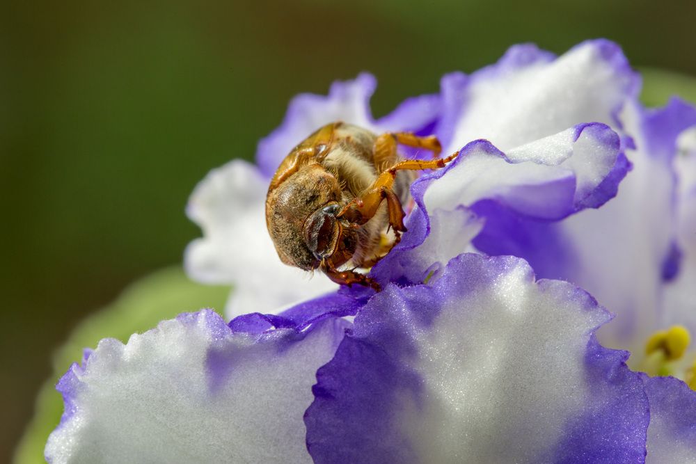 Photograph by Михаил