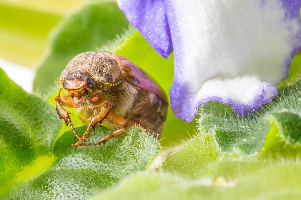 Photograph by Михаил