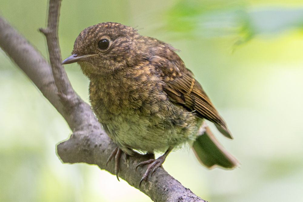 Photograph by Михаил