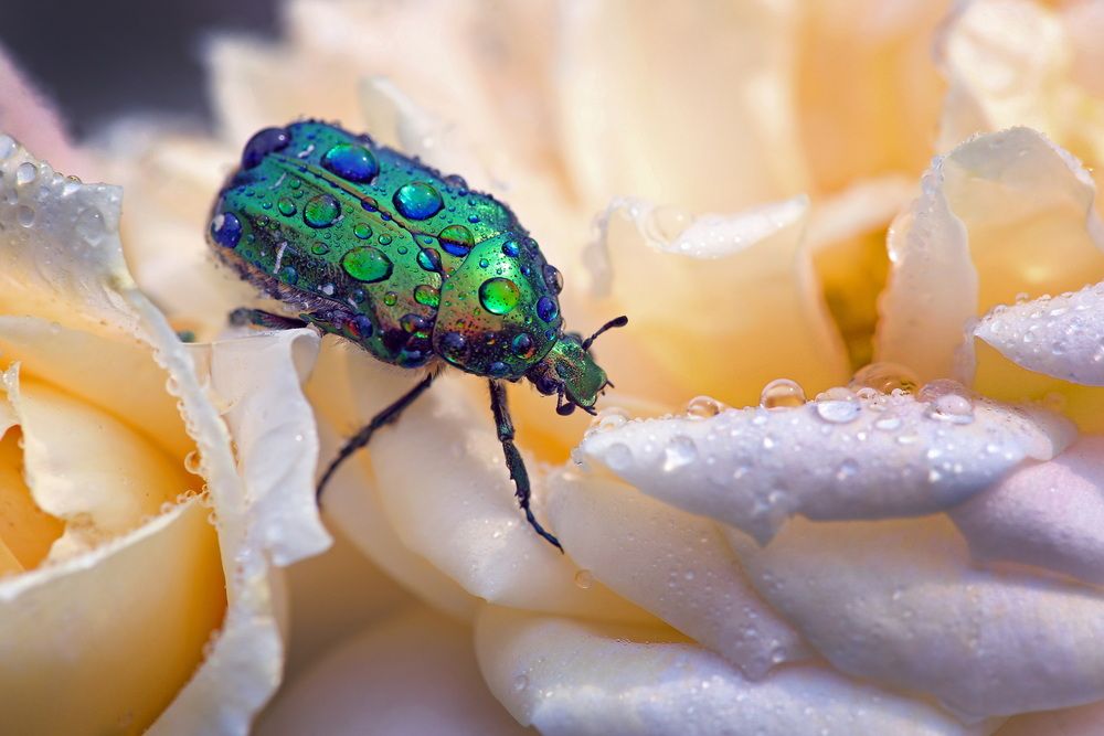 Photograph by Бибичков Михаил