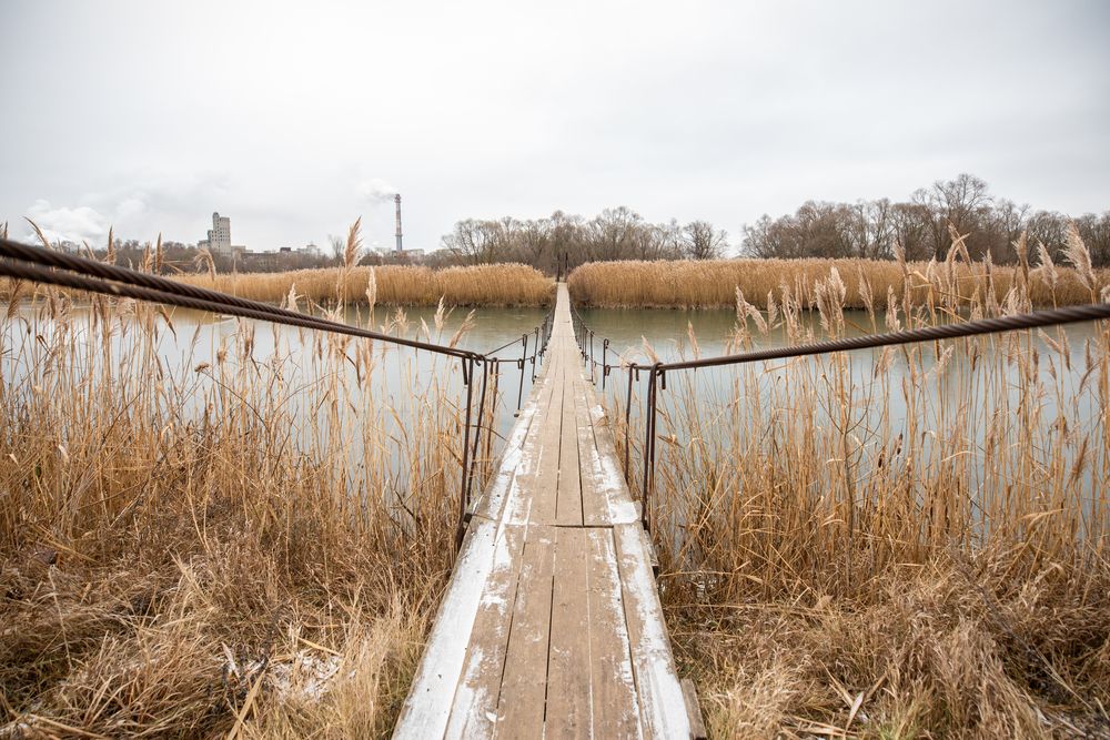 Местный проводник