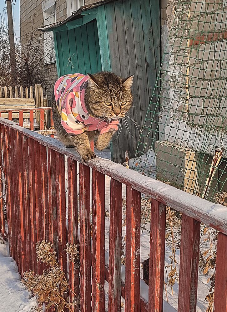 Photograph by Ирина Яук