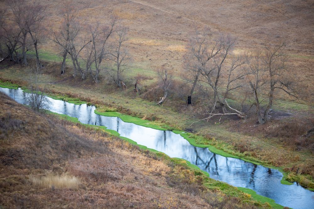 Жидкое зеркало