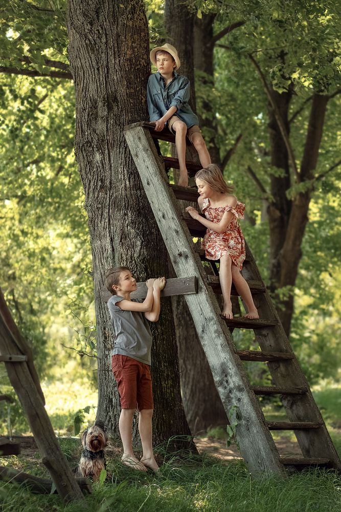 One summer in the garden
