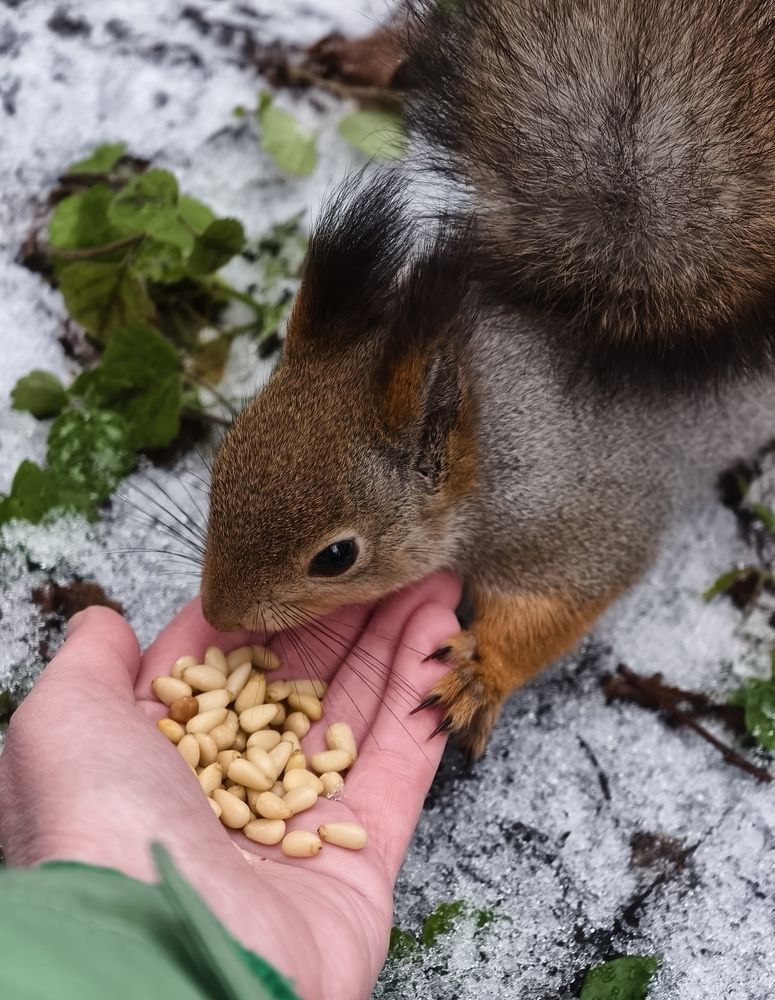 Photograph by Галина Бессуднова