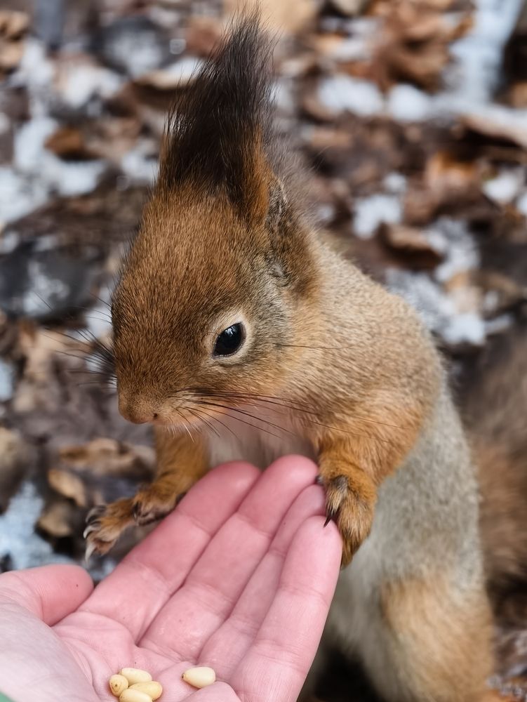 Photograph by Галина Бессуднова