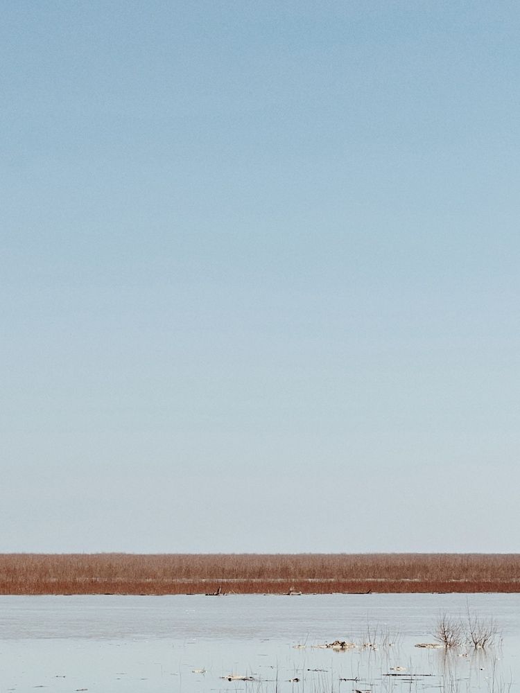 Photograph by Яна Сел