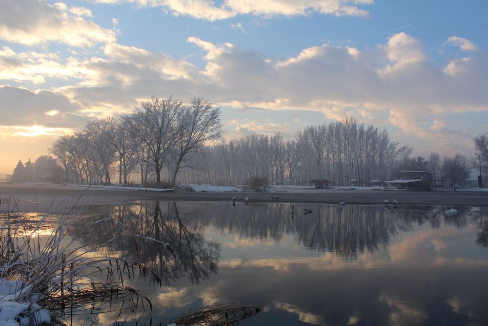 Photograph by Любовь Войводич