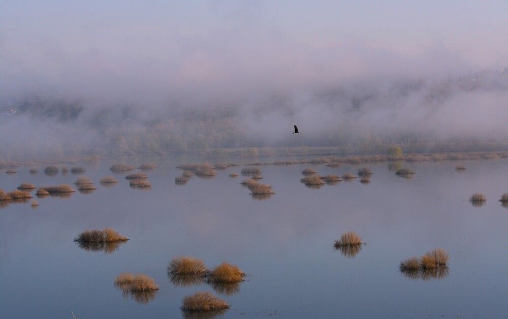 Photograph by Татьяна Шебаршенко