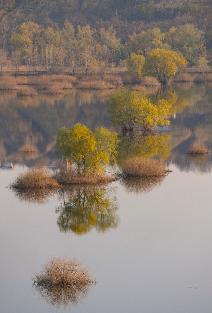 Photograph by Татьяна Шебаршенко