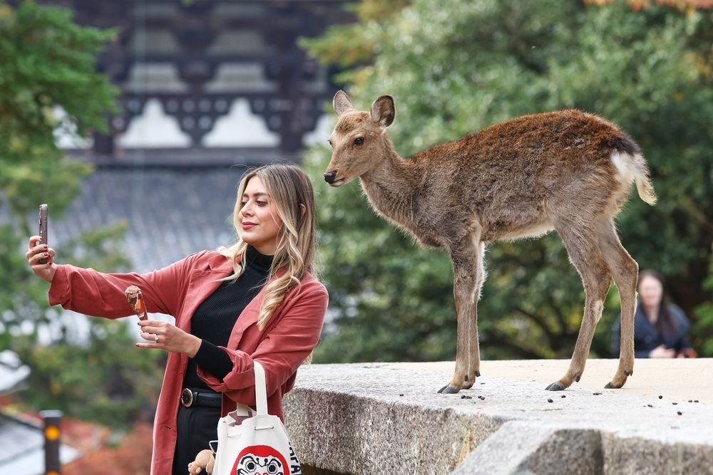 Селфи за печеньку