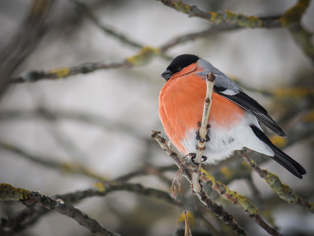 Photograph by Георгий Юркин