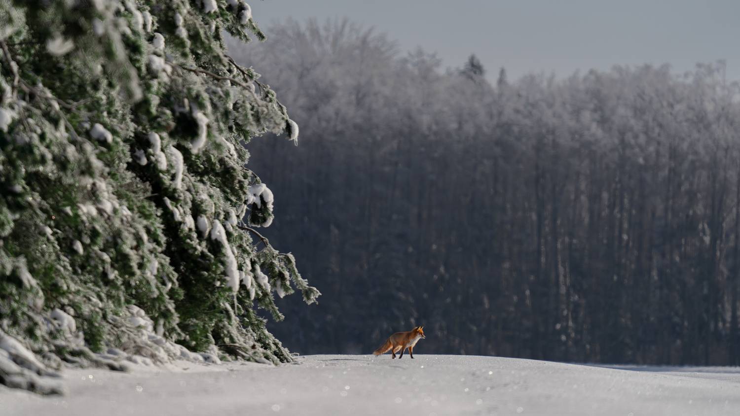 Тихий переход
