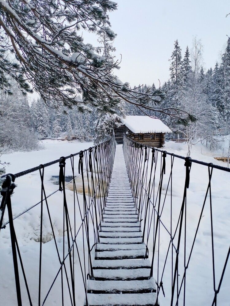 Photograph by Александр Порохов