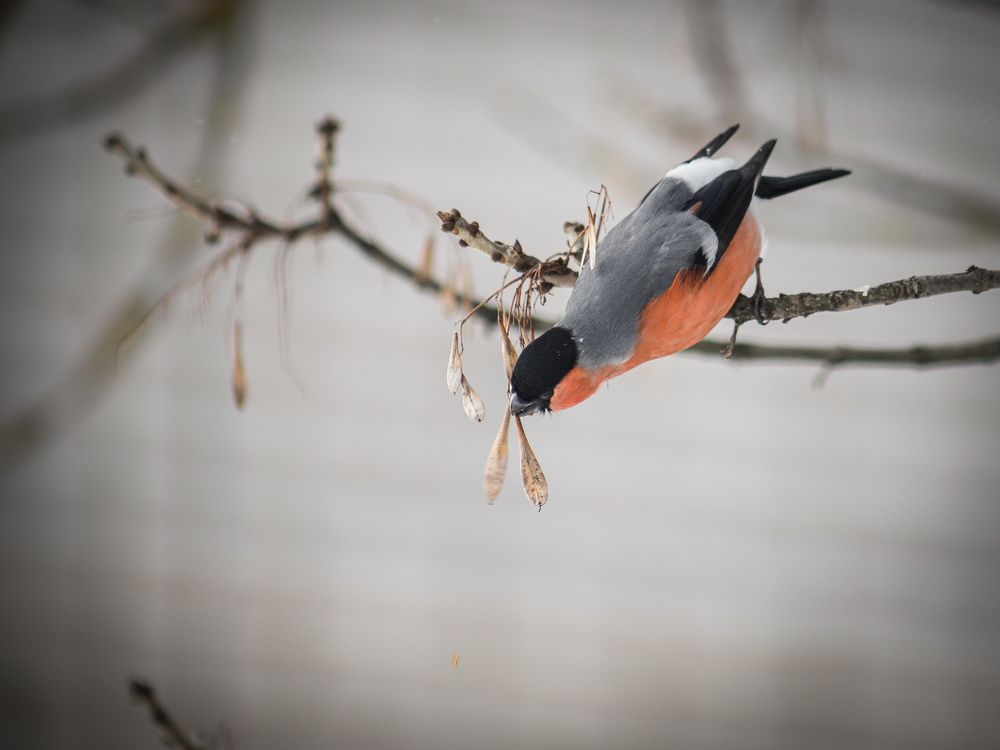 Photograph by Георгий Юркин