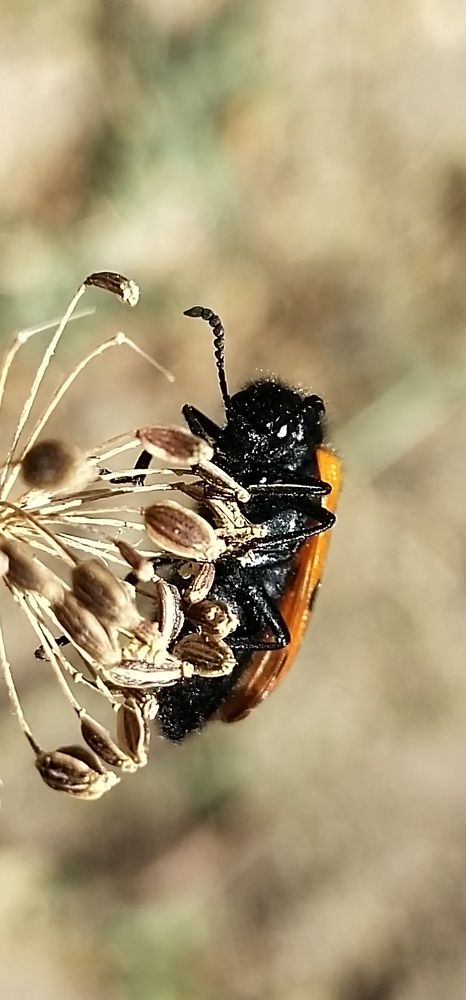 Photograph by Елена Киселёва