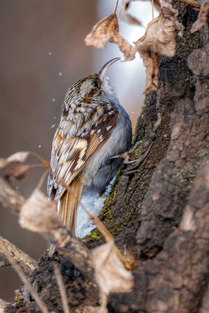 Photograph by Andrey Zaychenko