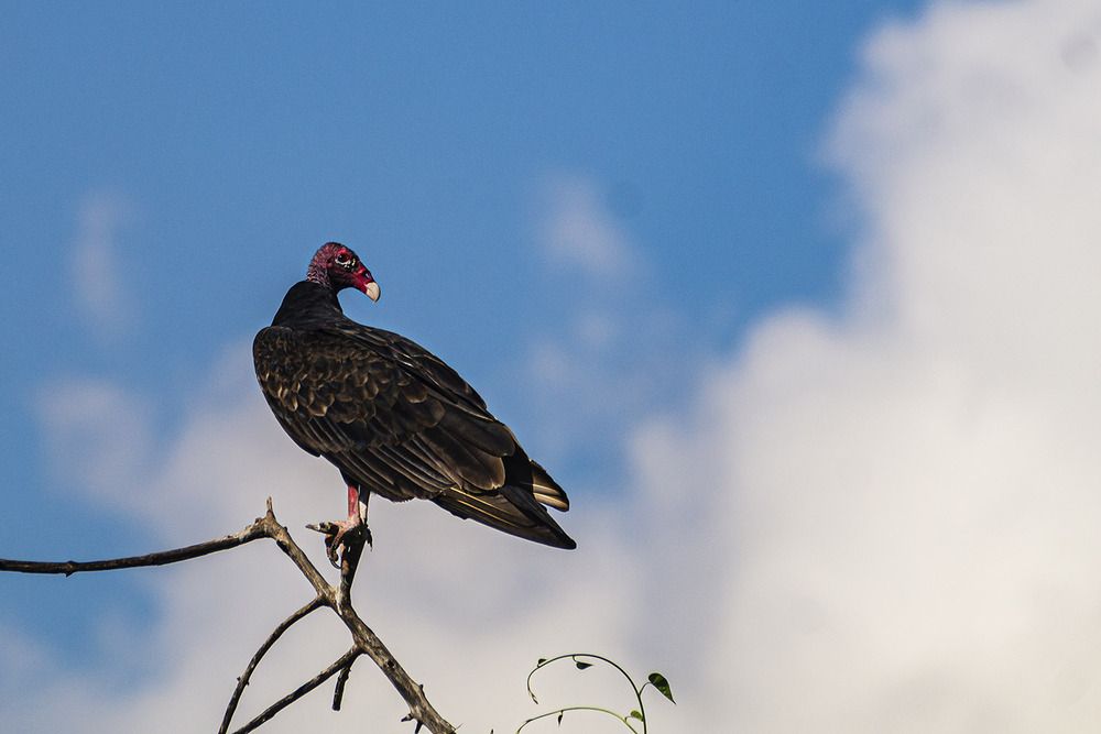 Photograph by Luisa Martina Hernández