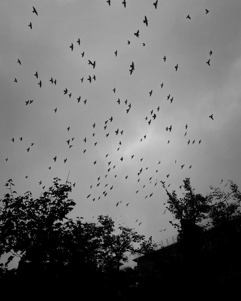 Photograph by Сергей Удовиченко