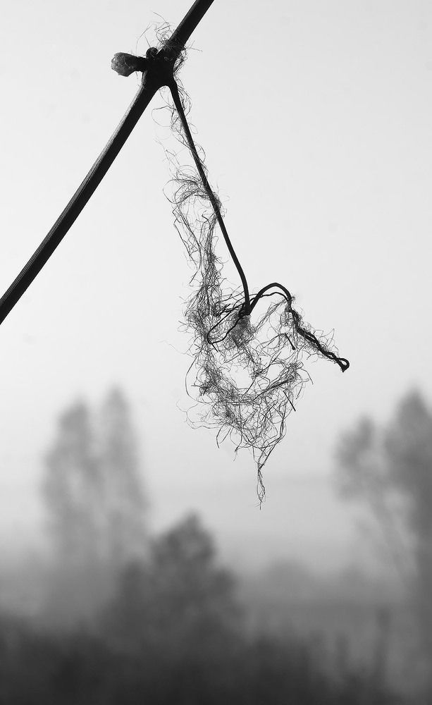 Photograph by Дмитрий Ткаченко