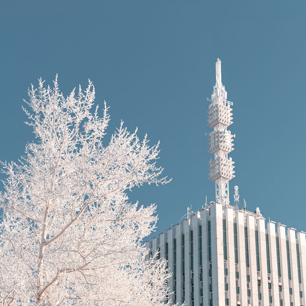 Фотография автора Леонтьева Татьяна