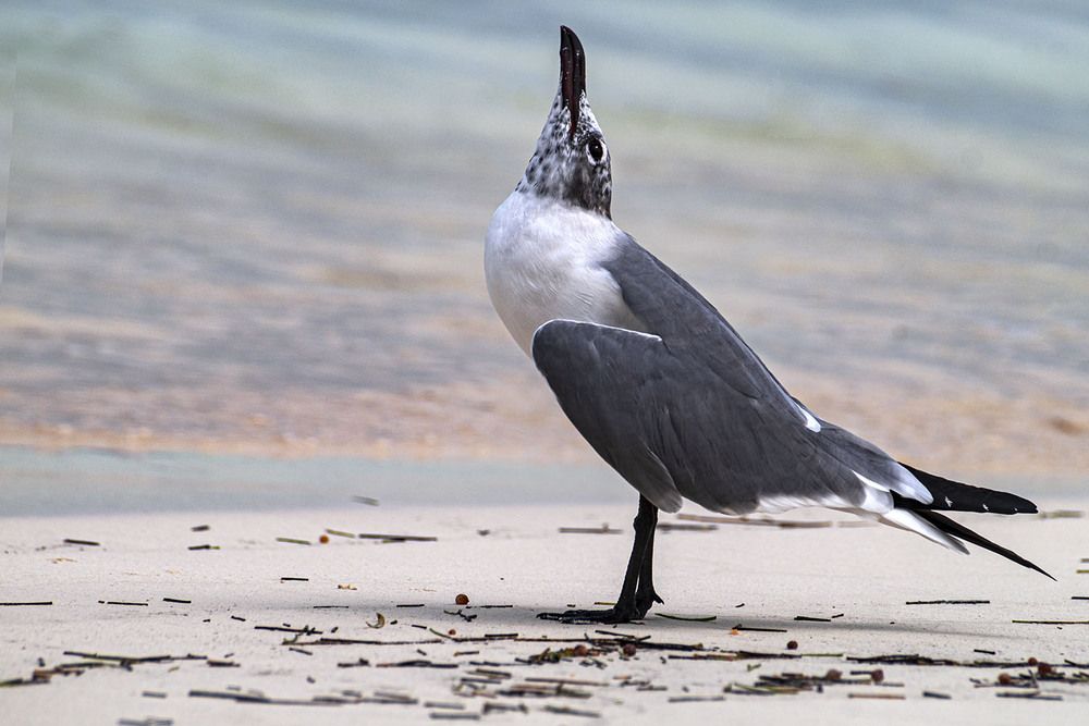 Photograph by Luisa Martina Hernández