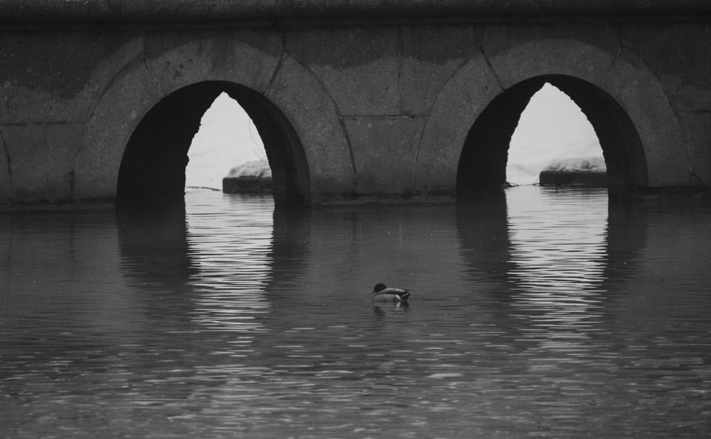 Photograph by Ольга Левакова