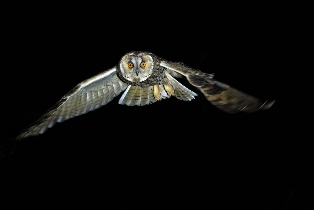 Photograph by Ali Deyabadi