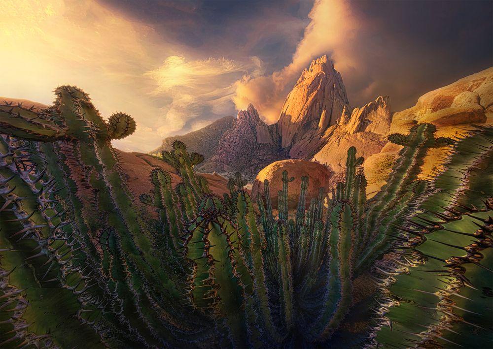The cactus king