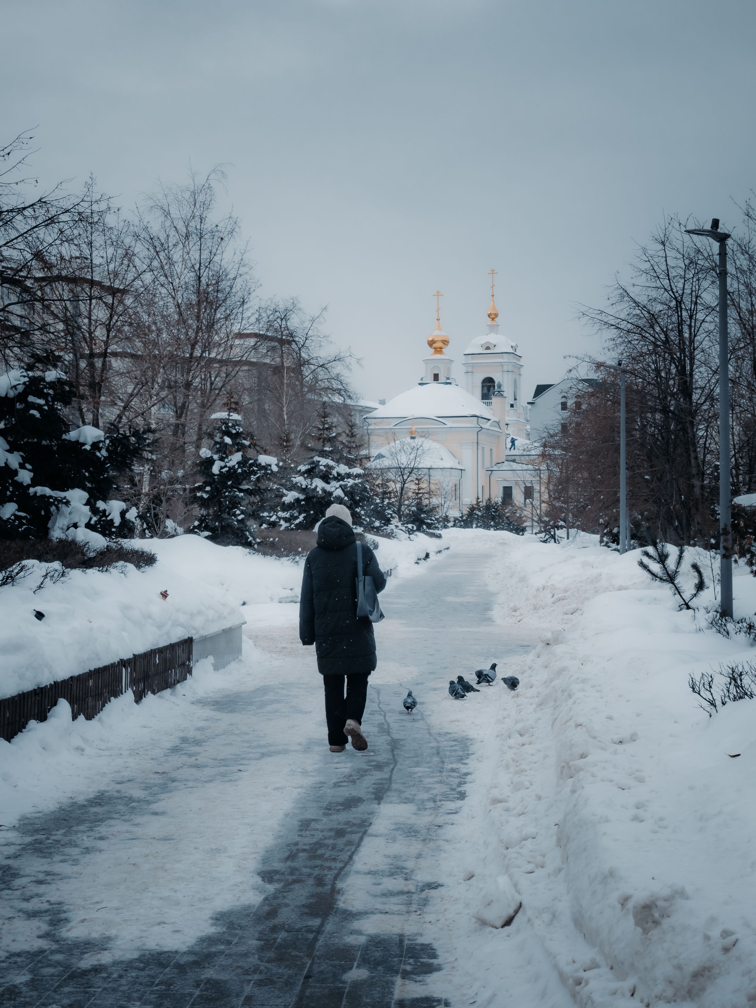 Фотография автора Пучков Андрей