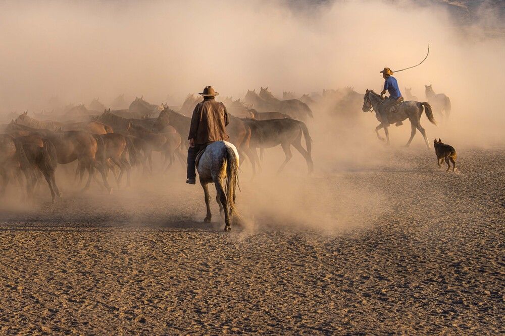 Photograph by Mustafa Sahin